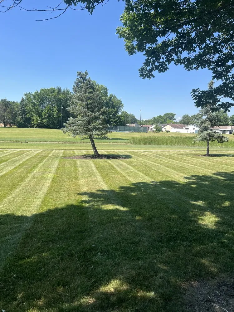 Expert yard cleanup service for year-round maintenance in Fort Wayne, IN by Flores Landscaping