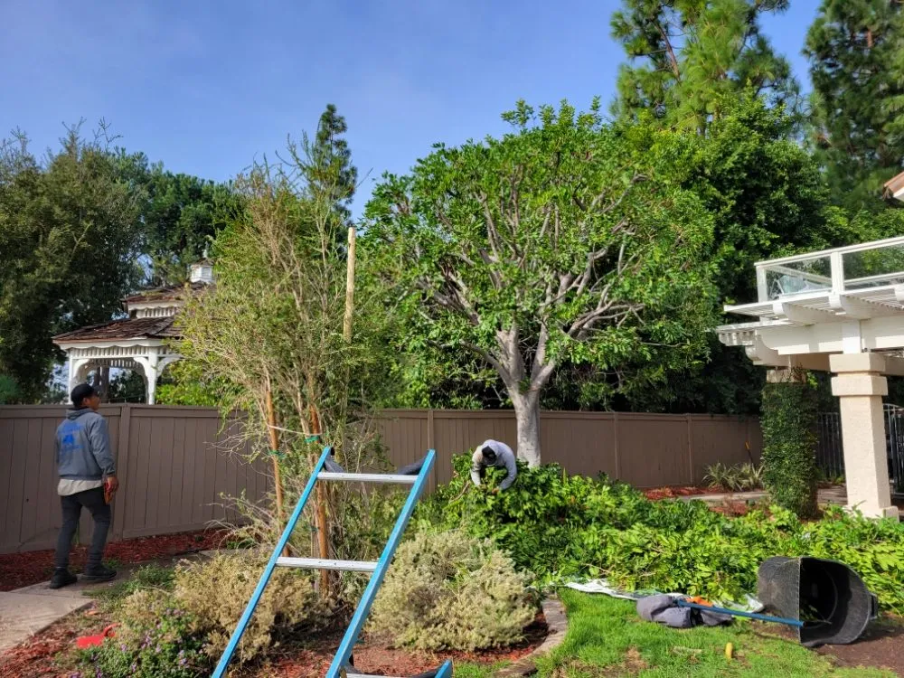 Affordable lawn mowing service for homes across Garden Grove, CA - Flores Landscaping