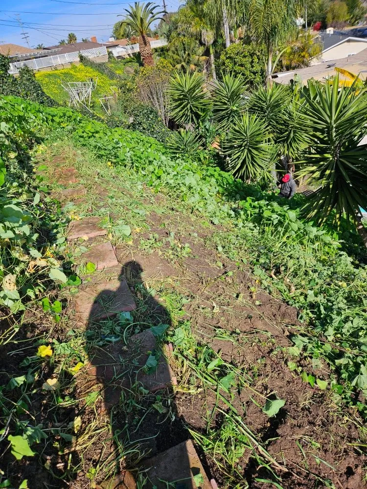 Affordable landscaping services in Garden Grove, CA by Flores Landscaping