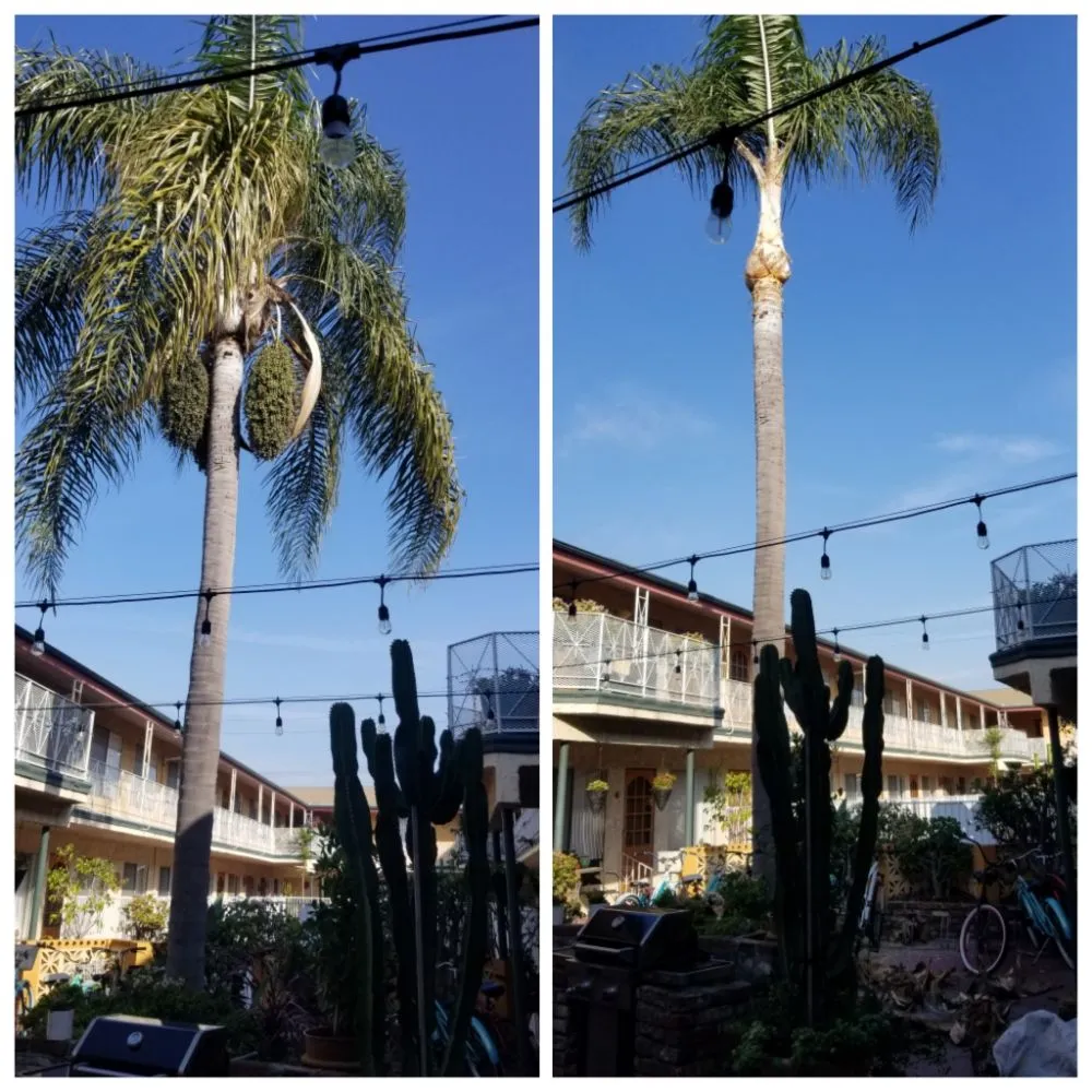 Custom outdoor landscaping for residential properties across Garden Grove, CA - Flores Landscaping