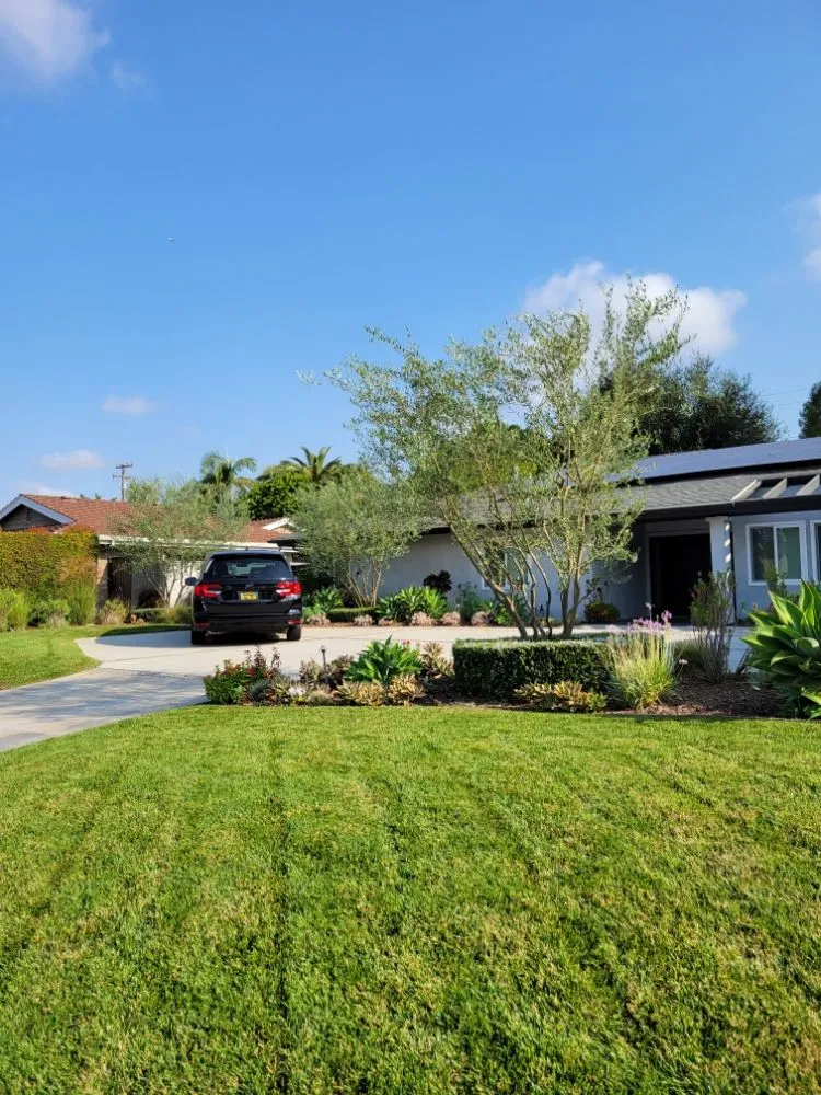 Local lawn mowing service in Garden Grove, CA by Flores Landscaping