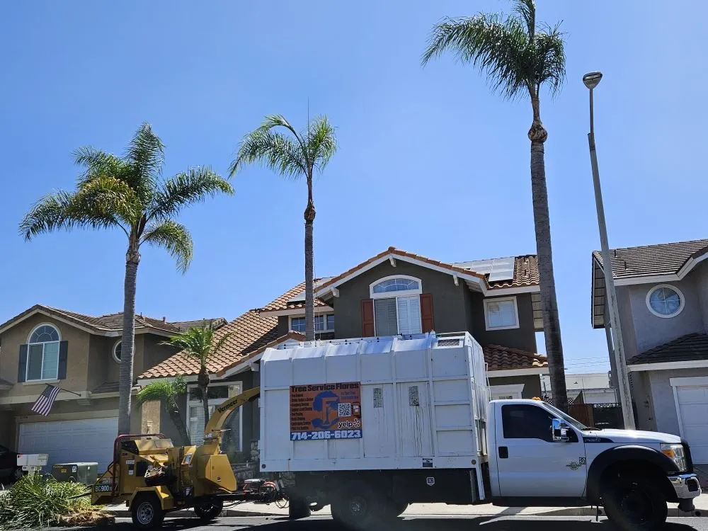 Trusted lawn mowing service in Garden Grove, CA - Flores Landscaping