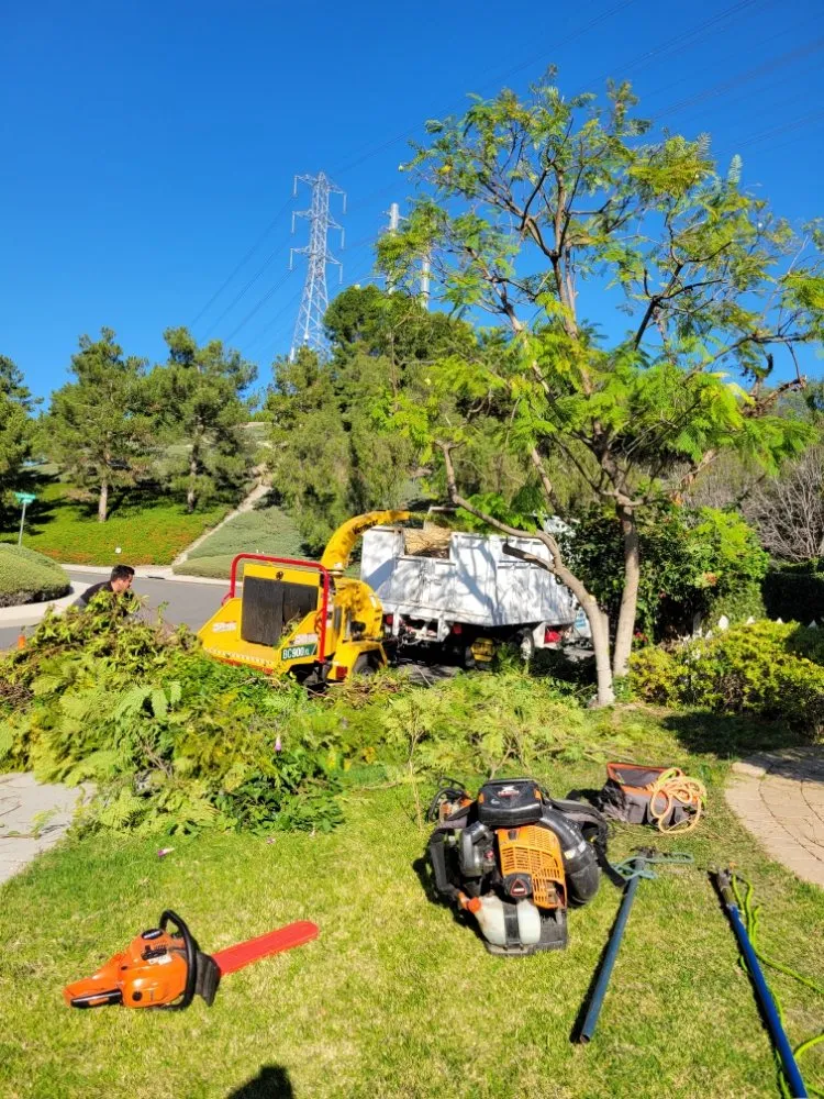 Custom landscape installation near you in Garden Grove, CA by Flores Landscaping