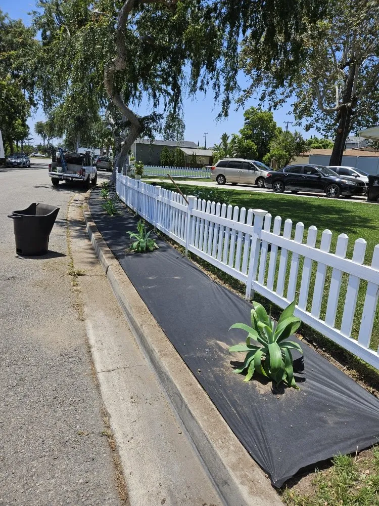 Affordable yard cleanup service for residential properties across Garden Grove, CA - Flores Landscaping