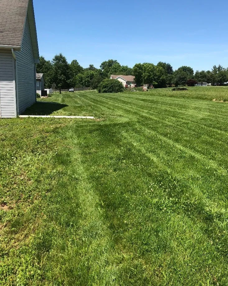 Professional yard cleanup service experts serving Kennett Square, PA - Flores Landscaping