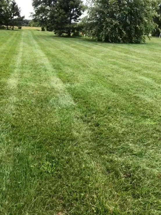 Reliable landscaping services in Kennett Square, PA - Flores Landscaping