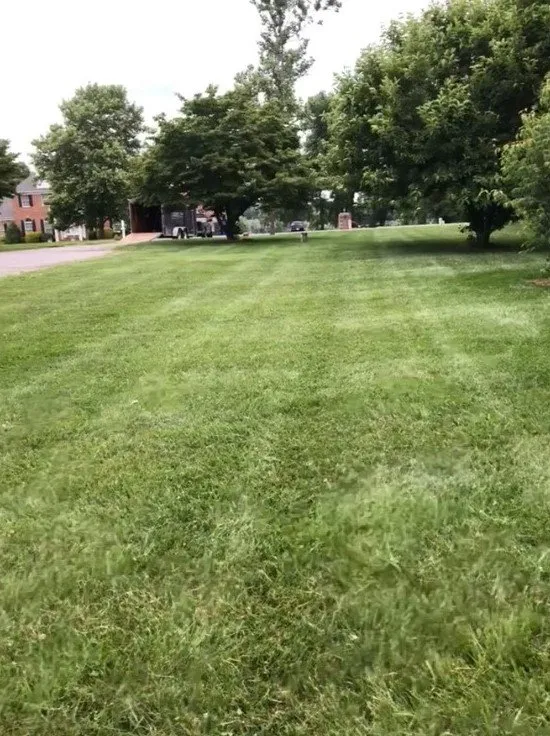 Local yard cleanup service in Kennett Square, PA - Flores Landscaping