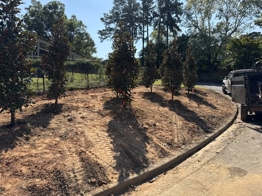 Expert lawn care service for outdoor upgrades in Little Rock, AR by Flores Landscaping