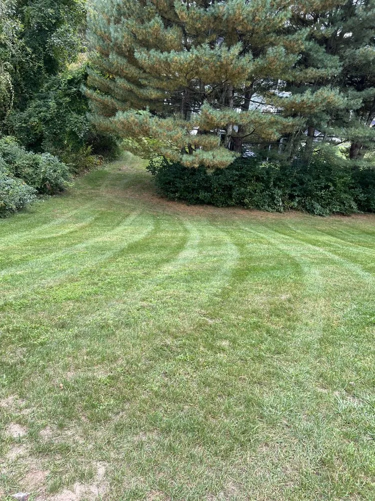 Top-rated landscape design in Providence, RI - Flores Landscaping