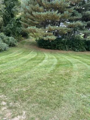 Flores Landscaping Logo