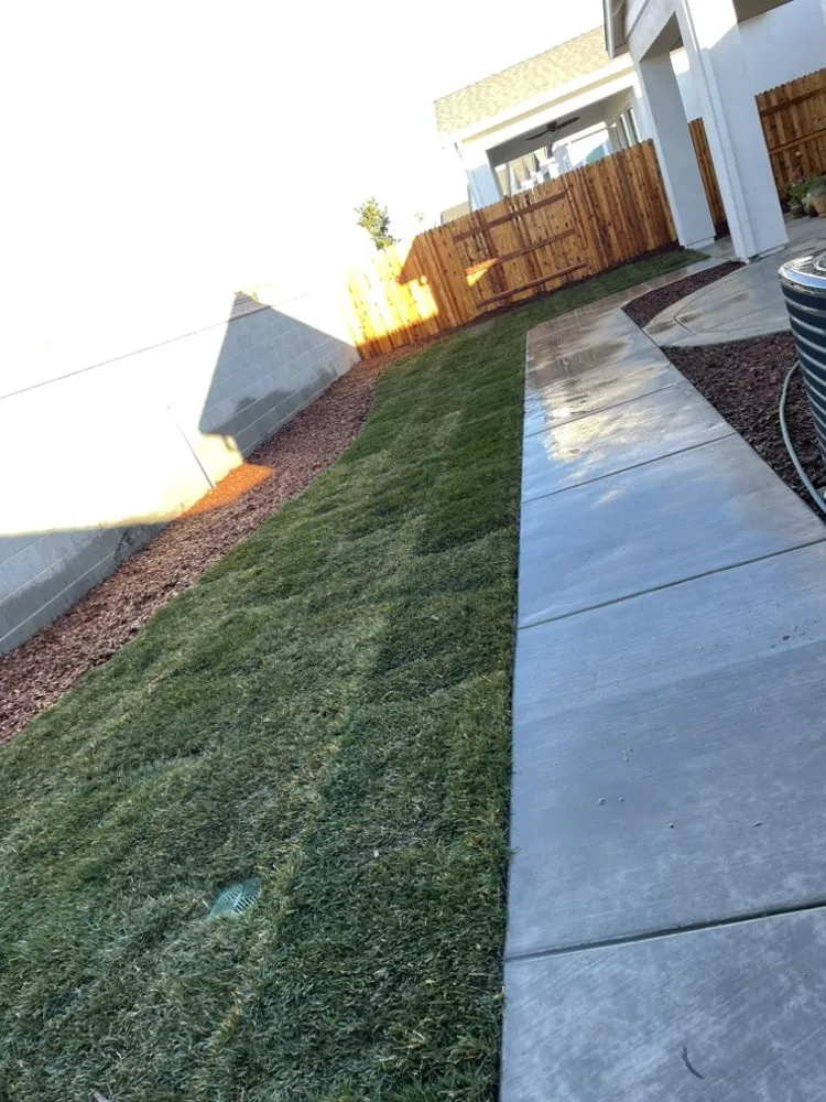 Professional landscape design for year-round maintenance in Sacramento, CA by Flores Landscaping