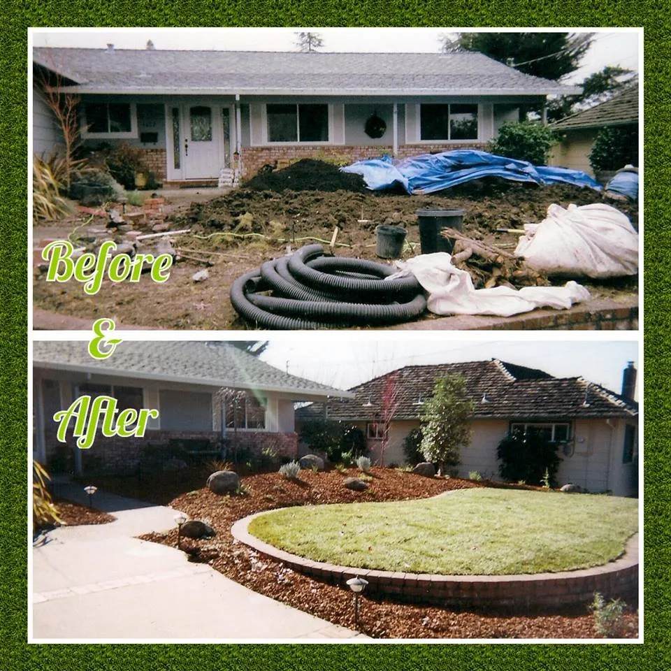Custom lawn mowing service in Santa Rosa, CA - Flores Landscaping