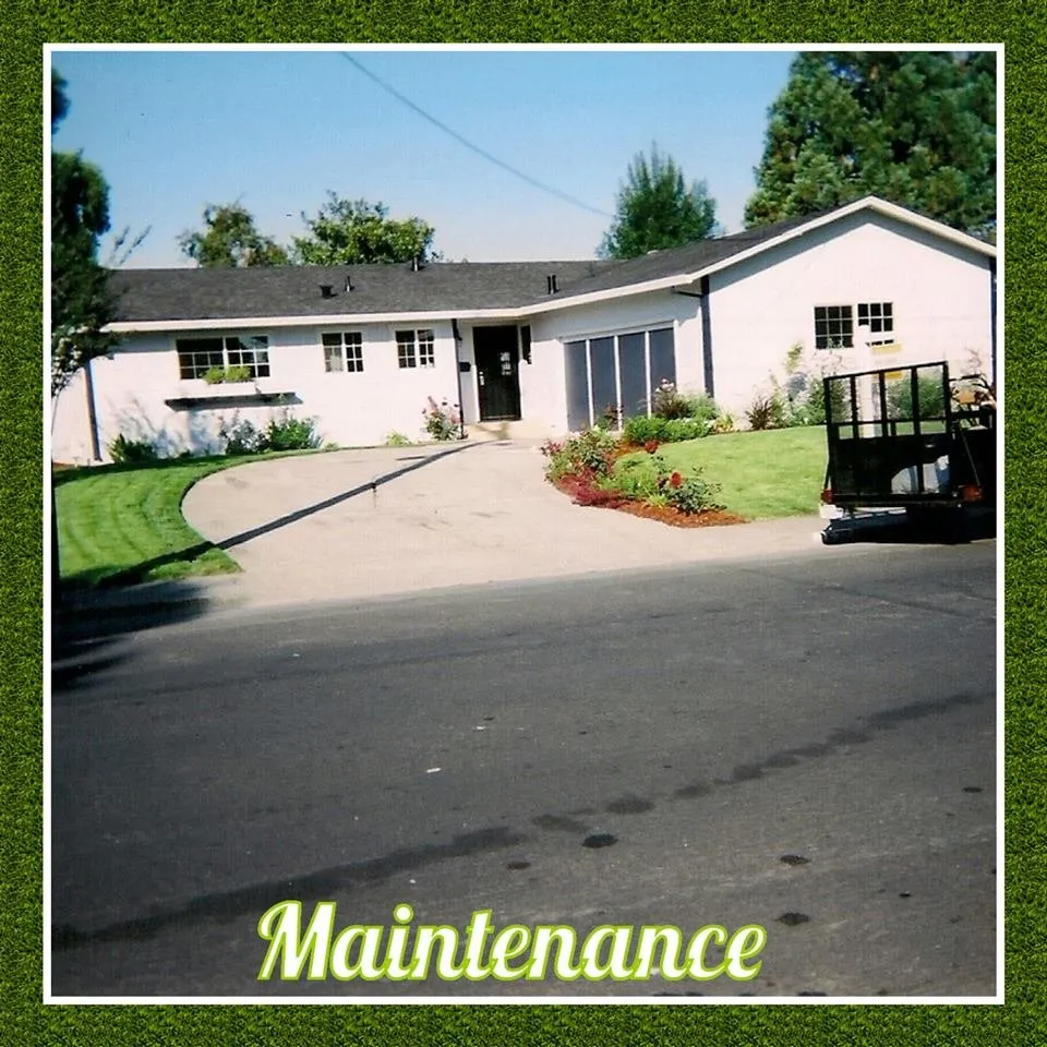 Professional garden landscaping for homes in Santa Rosa, CA by Flores Landscaping