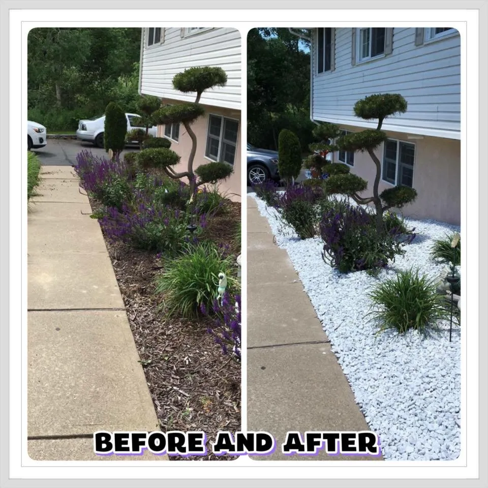 Local landscaping services in Santa Rosa, CA by Flores Landscaping
