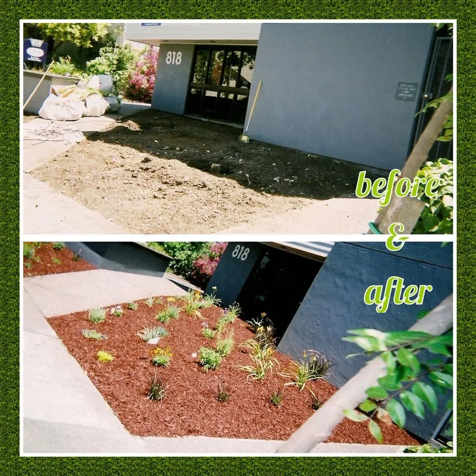 Custom lawn mowing service experts serving Santa Rosa, CA - Flores Landscaping