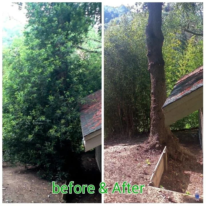 Affordable landscape installation experts serving Santa Rosa, CA - Flores Landscaping