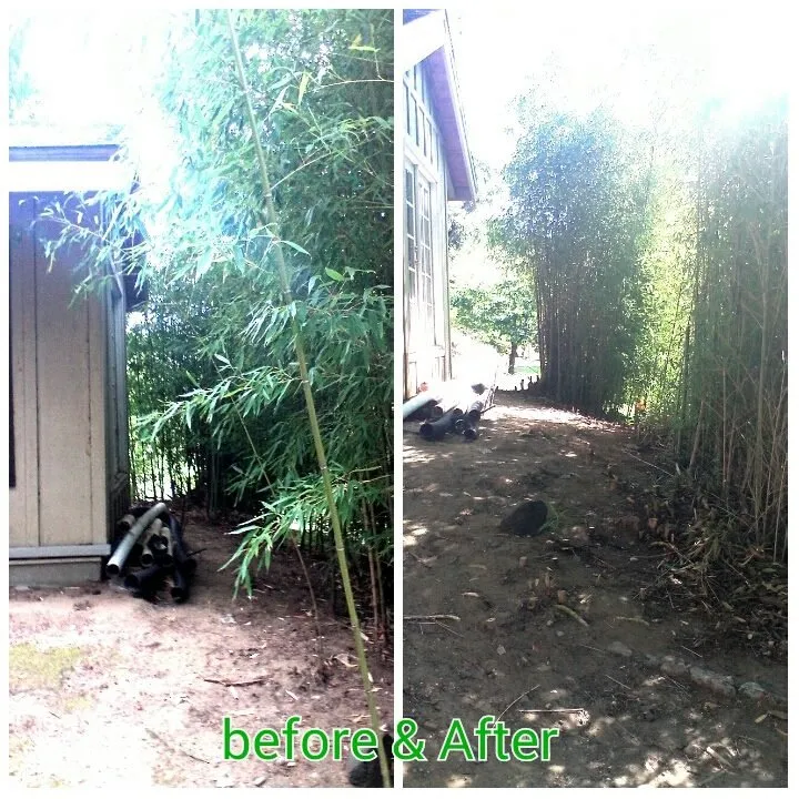 Reliable landscape installation in Santa Rosa, CA by Flores Landscaping