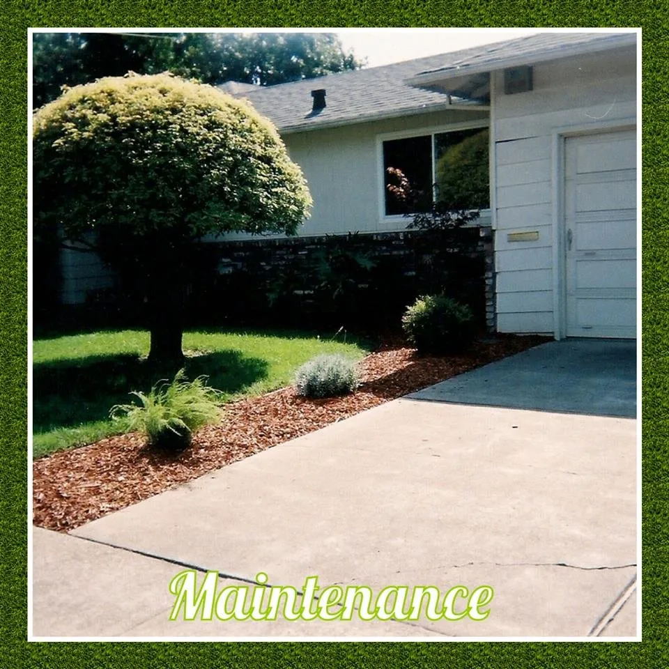 Expert landscaping services for beautiful yards across Santa Rosa, CA - Flores Landscaping