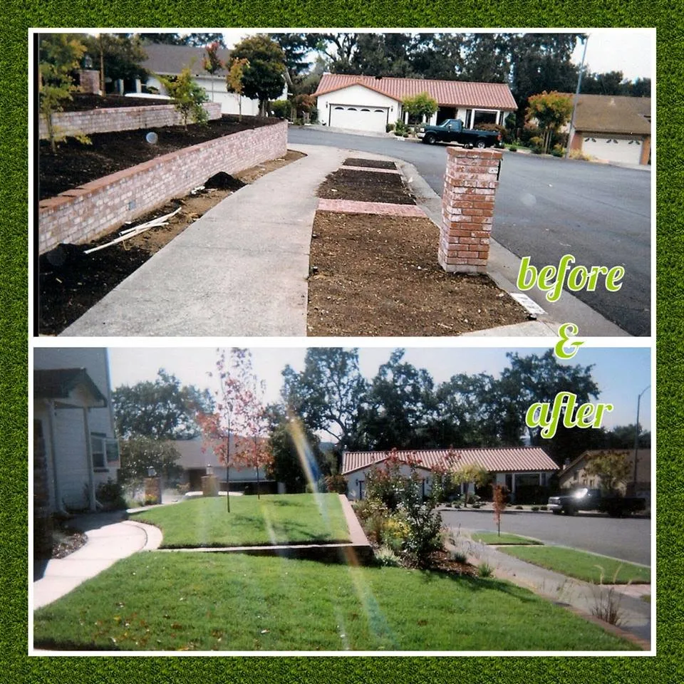 Reliable outdoor landscaping experts serving Santa Rosa, CA - Flores Landscaping