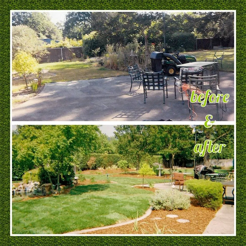 Trusted lawn care service in Santa Rosa, CA by Flores Landscaping