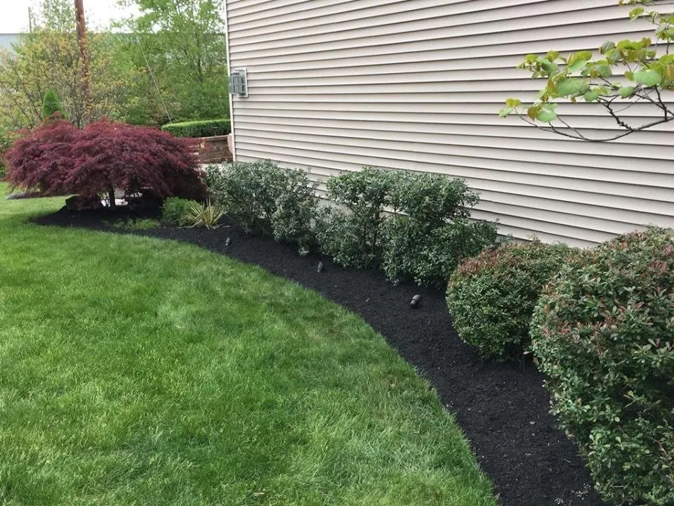 Affordable lawn care service for outdoor upgrades across Scranton, PA - Flores Landscaping
