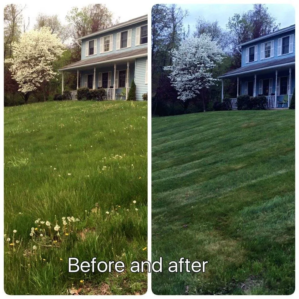 Trusted yard maintenance experts serving Scranton, PA - Flores Landscaping