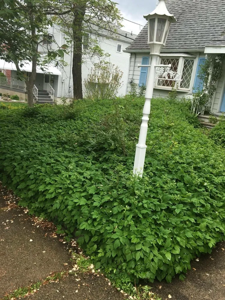 Reliable landscape design in Scranton, PA by Flores Landscaping