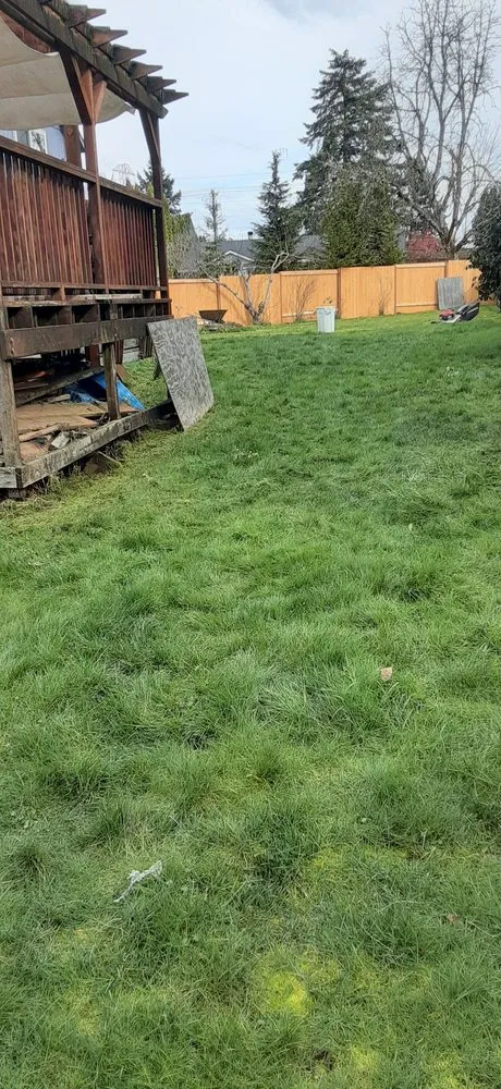 Reliable yard cleanup service in Beaverton, OR - Flores Landscaping Services