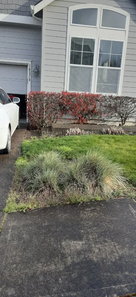 Expert lawn care service in Beaverton, OR - Flores Landscaping Services