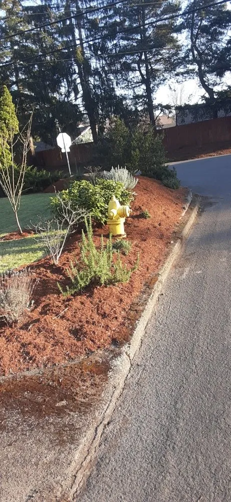 Affordable outdoor landscaping for year-round maintenance in Beaverton, OR by Flores Landscaping Services