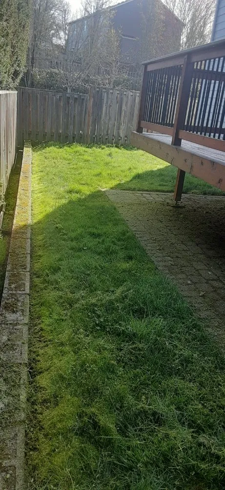 Professional yard cleanup service for residential properties in Beaverton, OR by Flores Landscaping Services