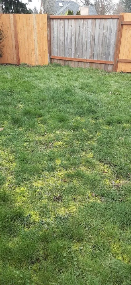 Trusted yard maintenance in Beaverton, OR by Flores Landscaping Services