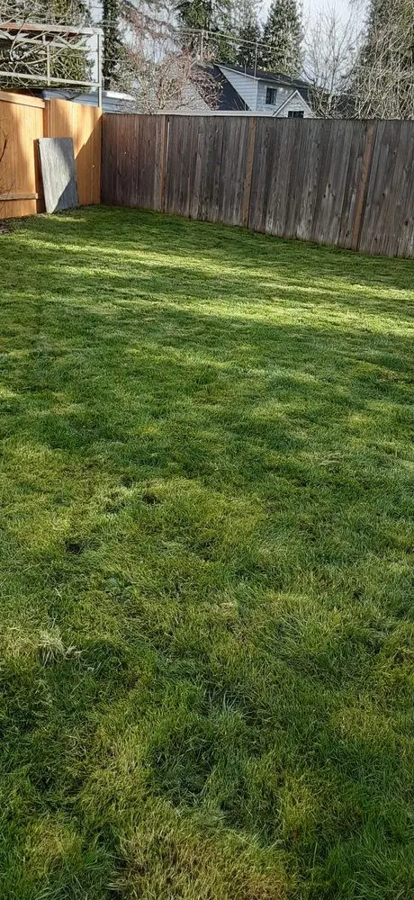 Custom yard cleanup service in Beaverton, OR - Flores Landscaping Services