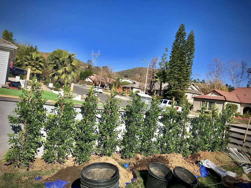 Top-rated outdoor landscaping for residential properties across Los Angeles, CA - Flores Landscaping Services