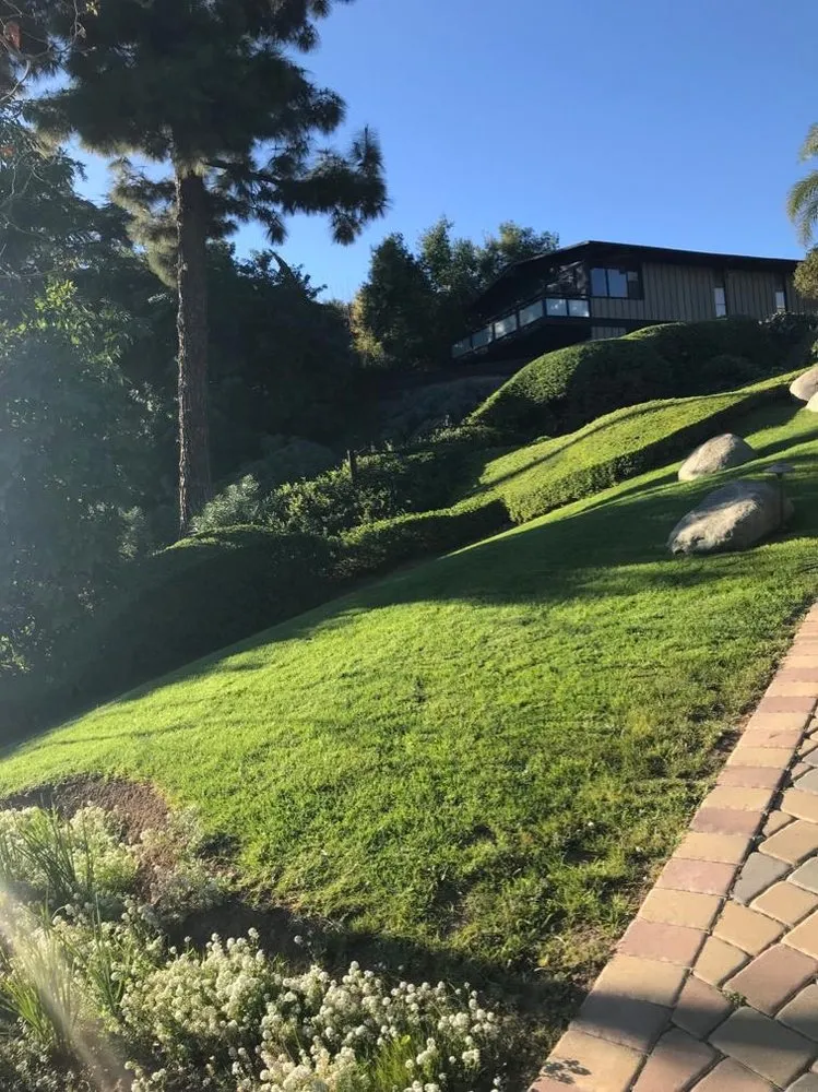 Expert landscaping services near you in Los Angeles, CA by Flores Landscaping Services