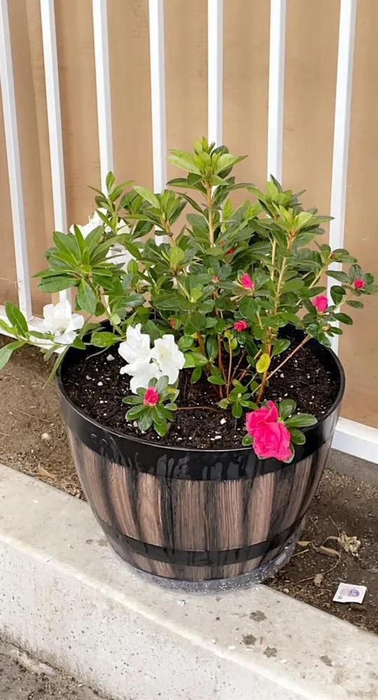 Expert landscape design for homes in Los Angeles, CA by Flores Landscaping Services