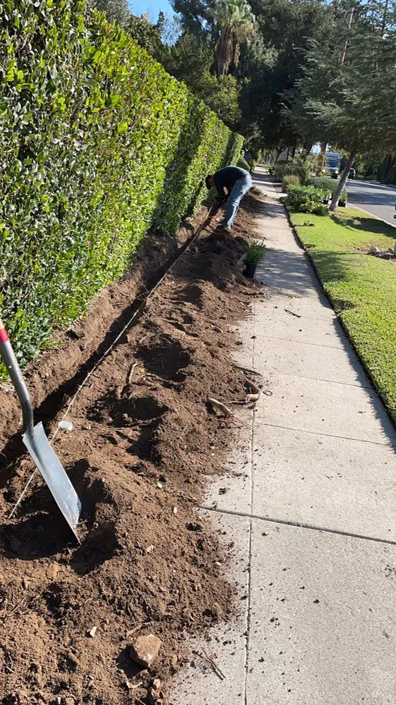 Reliable yard cleanup service experts serving Los Angeles, CA - Flores Landscaping Services