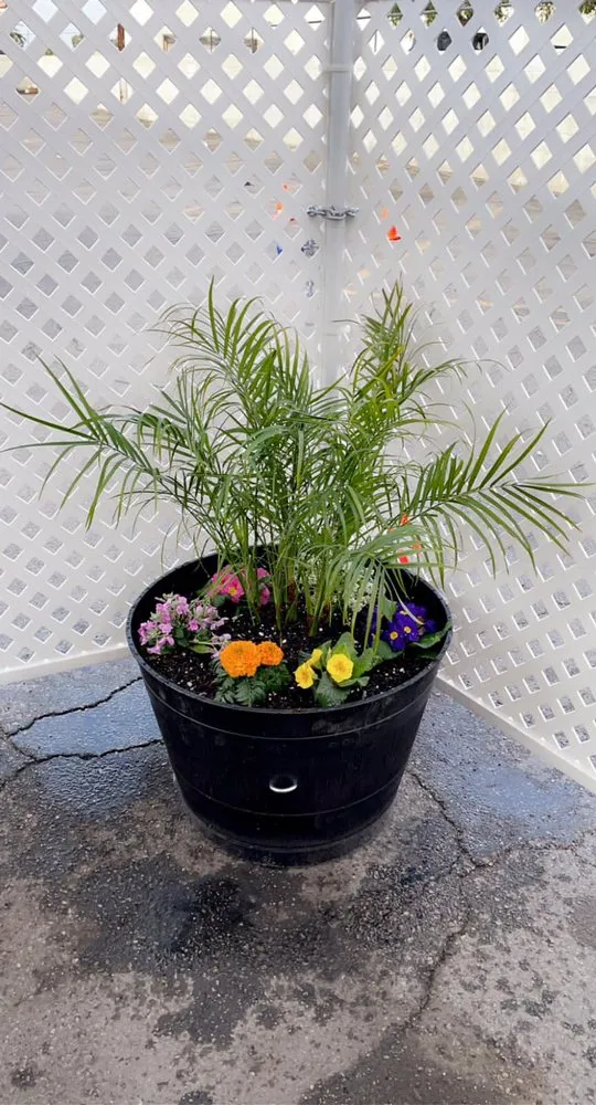 Top-rated landscape design in Los Angeles, CA by Flores Landscaping Services