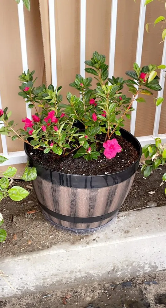 Reliable landscape design for outdoor upgrades in Los Angeles, CA by Flores Landscaping Services