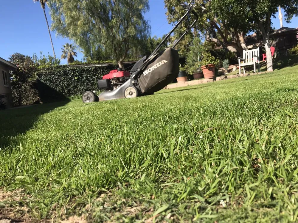 Trusted yard cleanup service experts serving Los Angeles, CA - Flores Landscaping Services