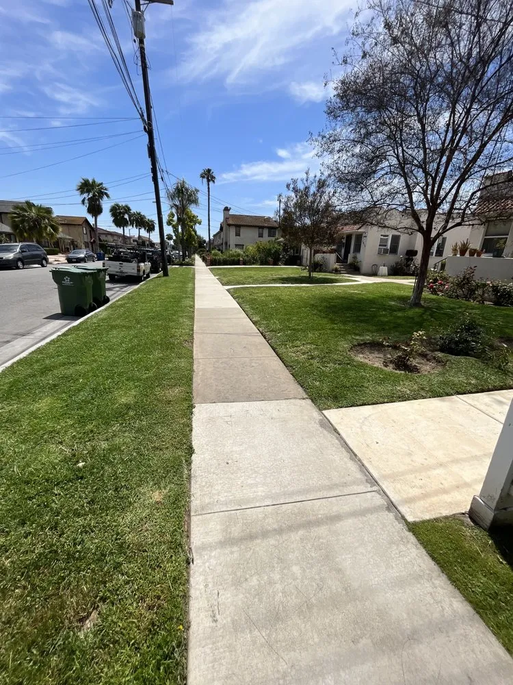 Custom yard cleanup service for homes across Los Angeles, CA - Flores Landscaping Services