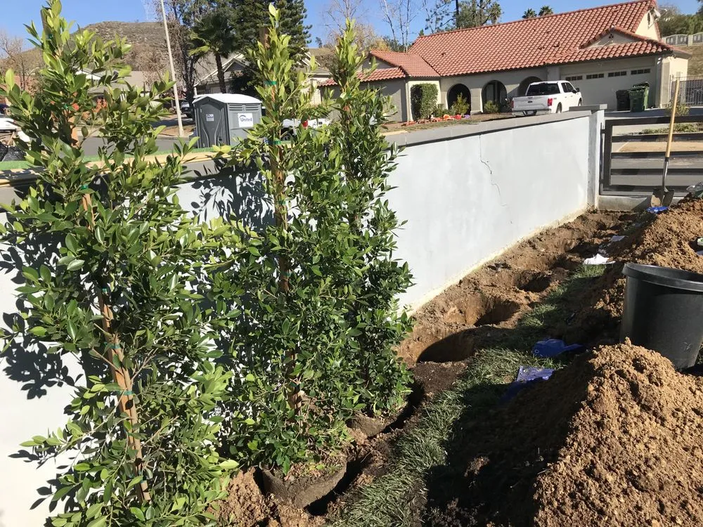 Trusted landscaping services in Los Angeles, CA by Flores Landscaping Services