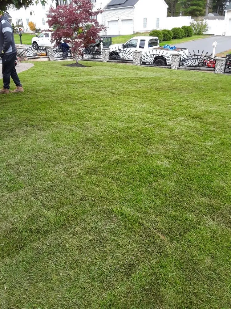 Trusted landscape installation with custom design in Randolph, MA by Flores Landscaping Services