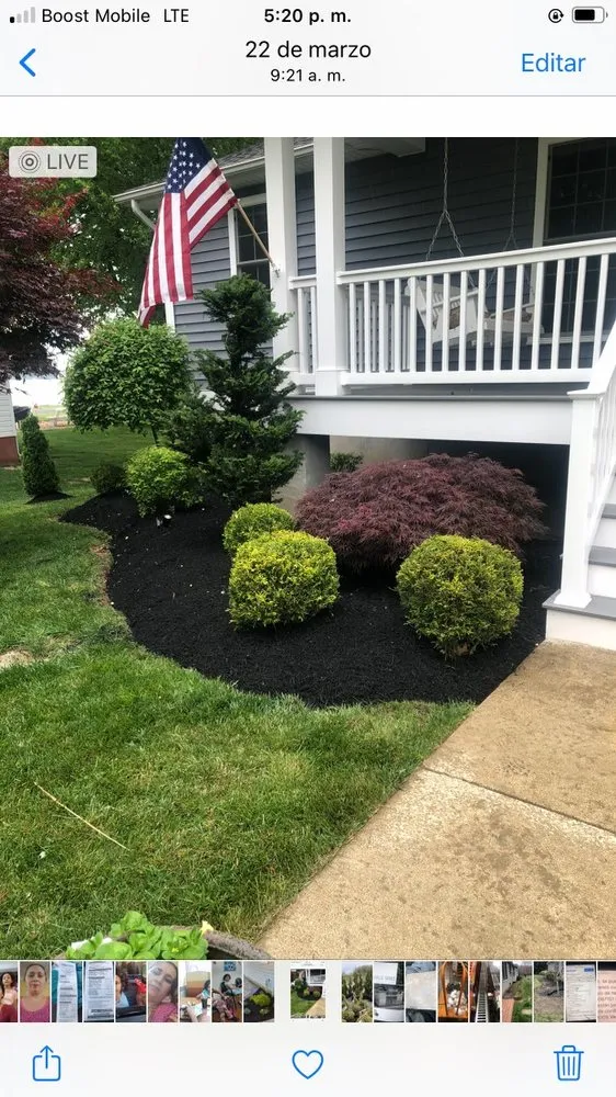 Top-rated yard maintenance near you in Saint Charles, MD by Flores Landscaping Services