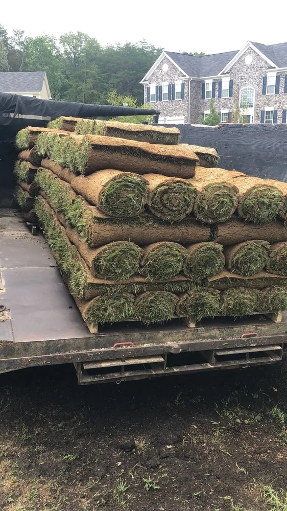 Reliable yard cleanup service in Saint Charles, MD by Flores Landscaping Services