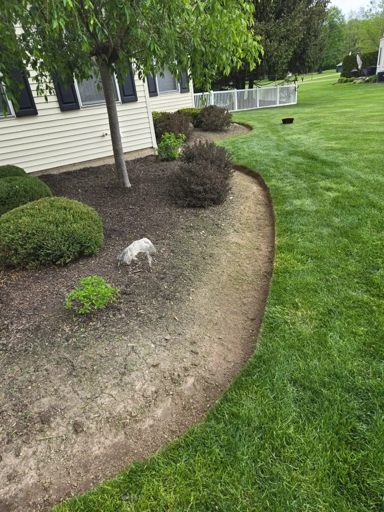 Local yard cleanup service for residential properties in Brunswick, OH by Flores Landscaping Solutions