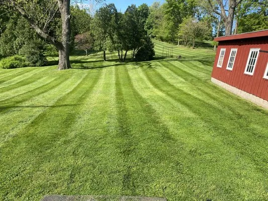 Flores Landscaping Tree Services Logo