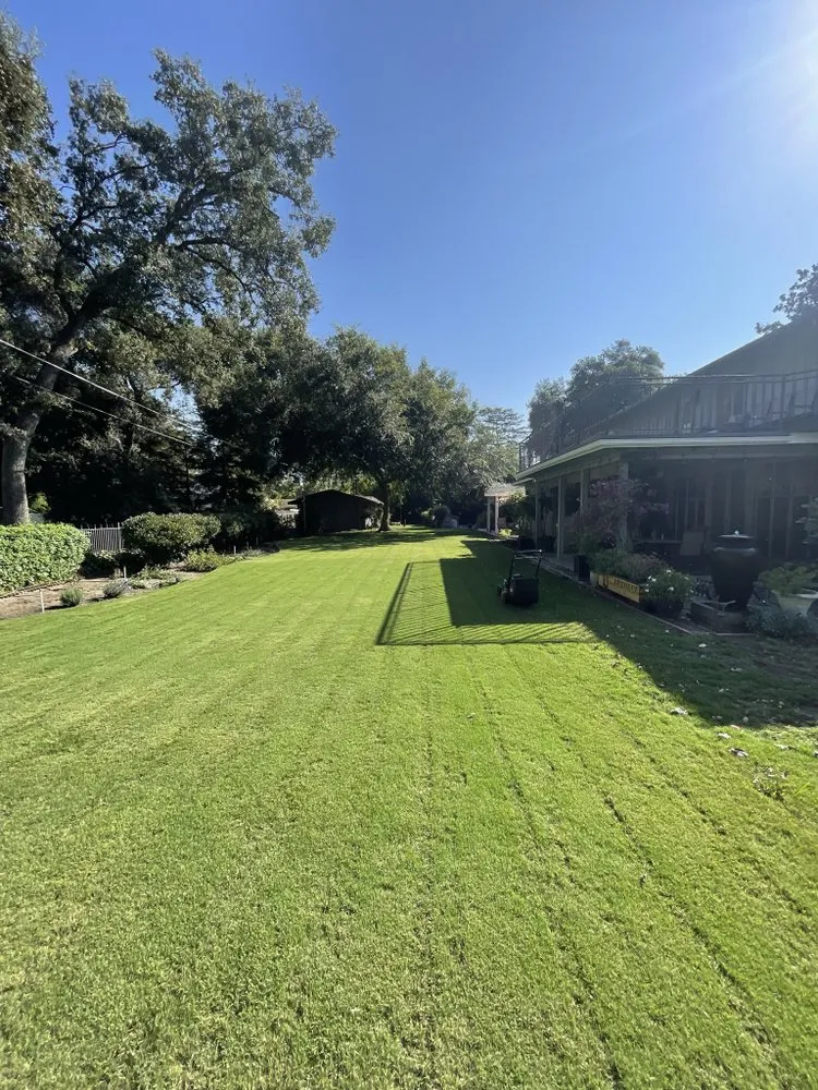 Trusted yard cleanup service in Visalia, CA - Flores Landscaping