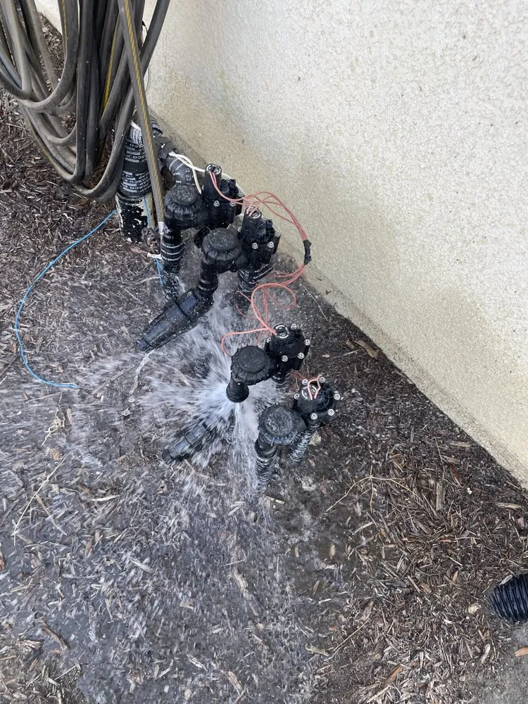 Custom yard cleanup service near you in Visalia, CA by Flores Landscaping