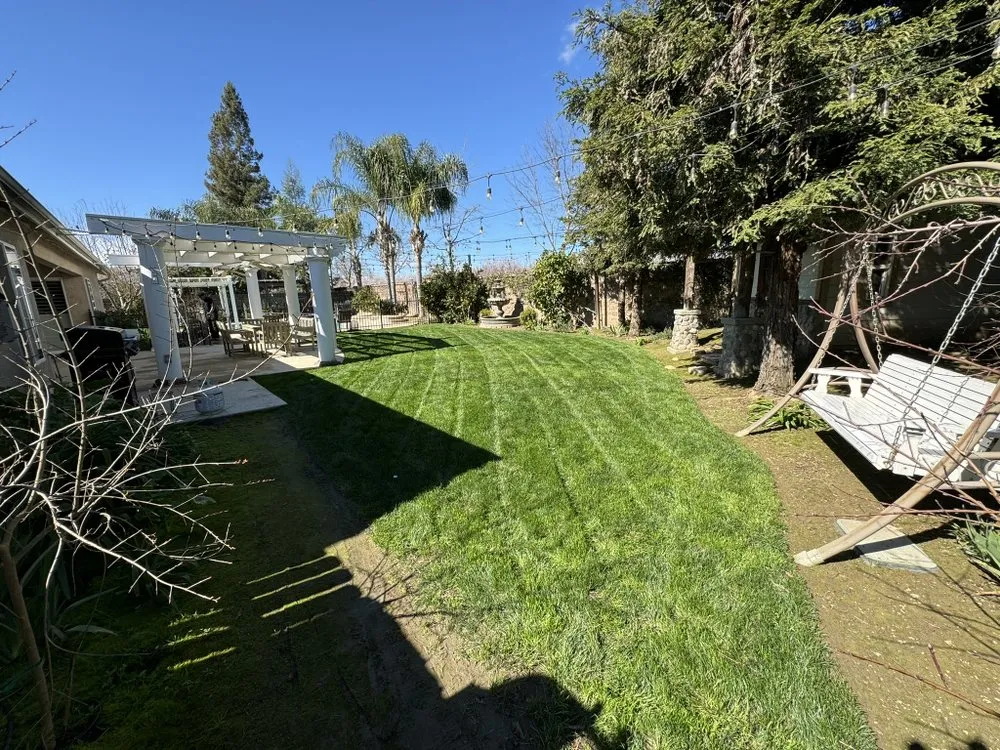 Trusted yard maintenance experts serving Visalia, CA - Flores Landscaping
